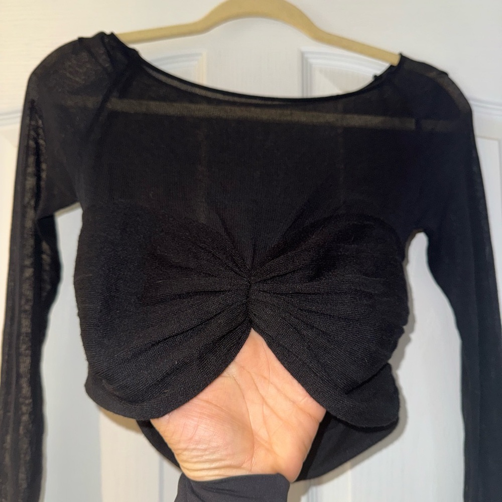 Sexy flattering  sheer Black Long Sleeve crop Top